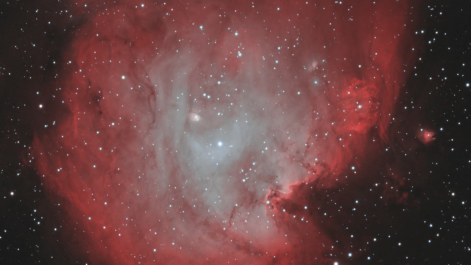 NGC 2175 im Affenkopfnebel Spektrum der Wissenschaft